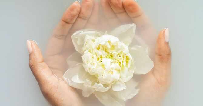 Counselling / Psychology / Mental Health